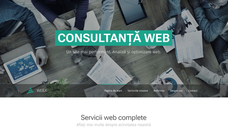 Șablon: Consultanță web