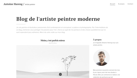 Modèle : Blog d'art