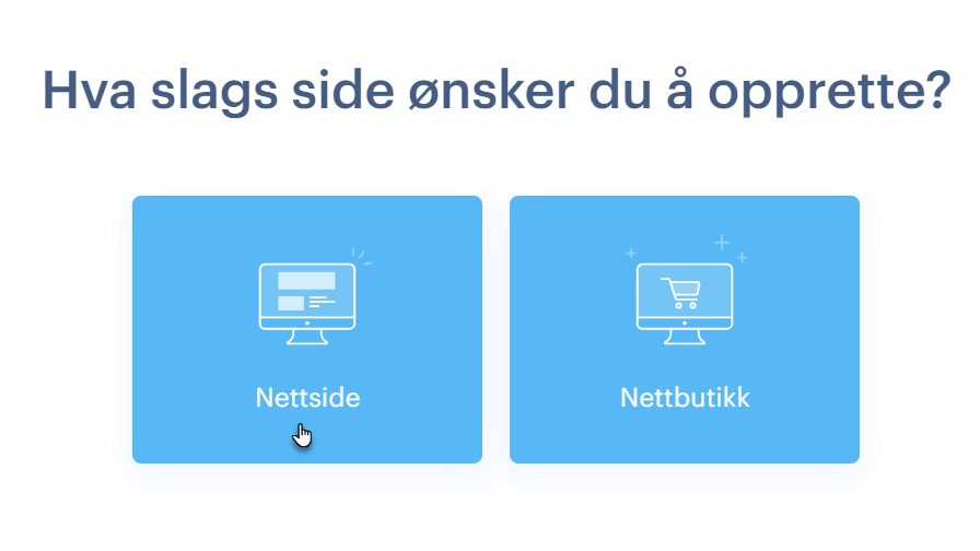 Nettside eller Nettbutikk